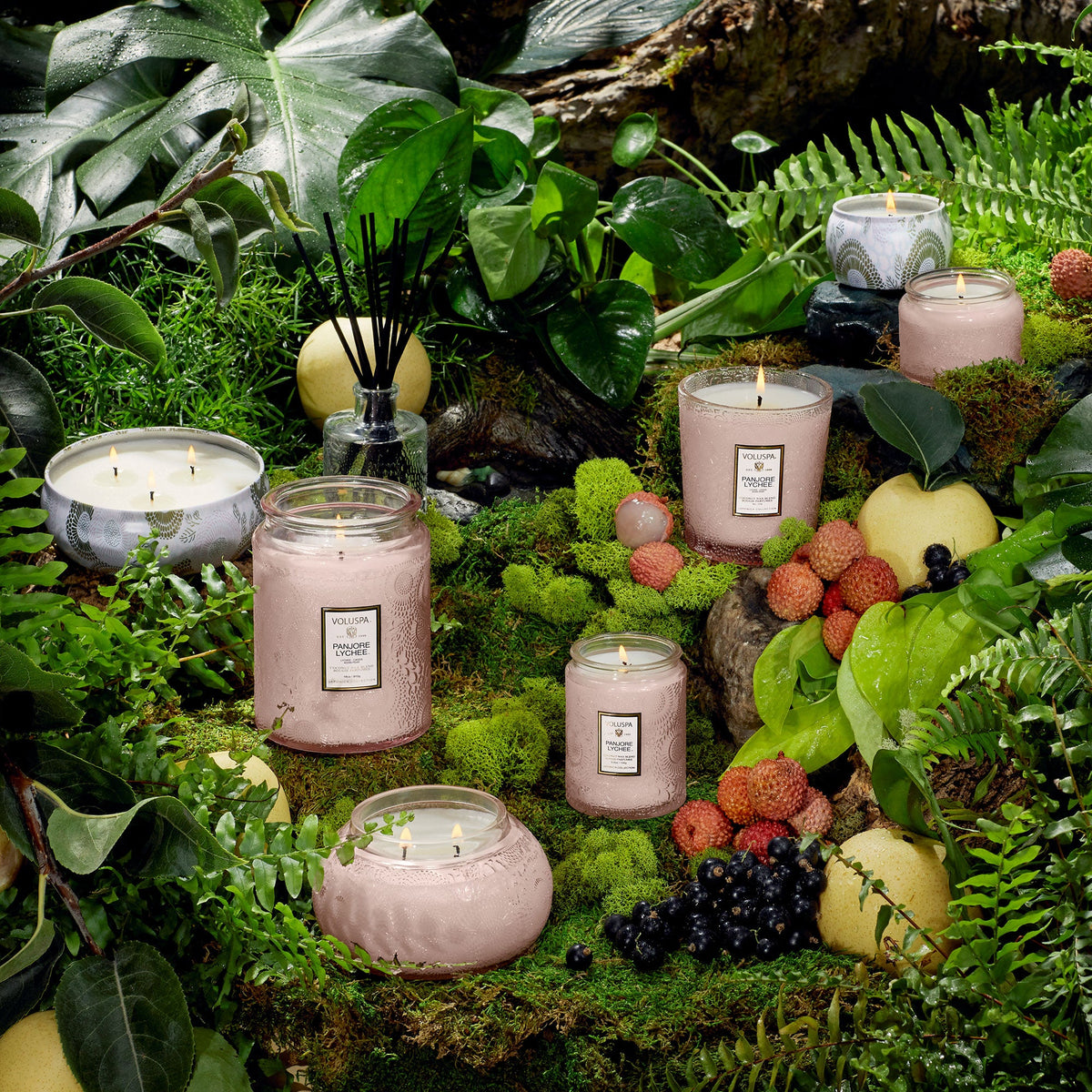 Panjore Lychee - 5 Wick Hearth Candle